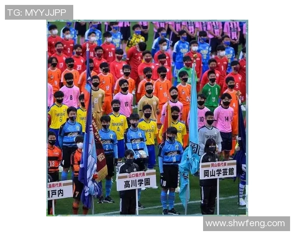 日本足球明星全名单解析及其辉煌成就回顾