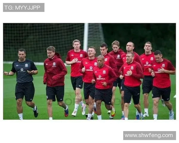 瑞典与威尔士首发阵容分析及比赛前瞻全面解读