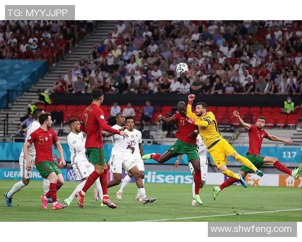 2016欧洲杯冠军揭晓法国队与葡萄牙队的激烈对决回顾